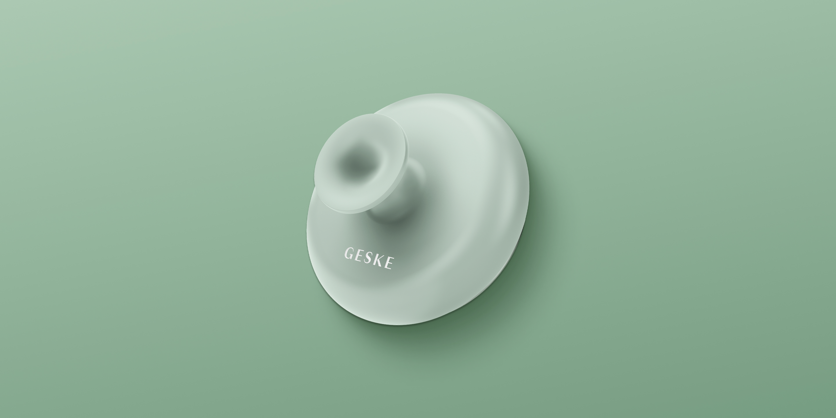 Multi Surface Suction Mount